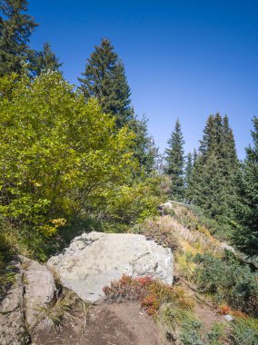 Bulgaristan 'ın Vitosha Dağı' nın şaşırtıcı sonbahar manzarası