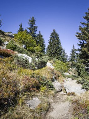 Amazing Autumn panorama of Vitosha Mountain, Bulgaria