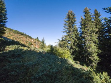 Bulgaristan 'ın Vitosha Dağı' nın şaşırtıcı sonbahar manzarası