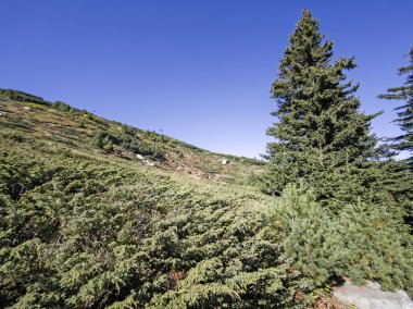 Bulgaristan 'ın Vitosha Dağı' nın şaşırtıcı sonbahar manzarası