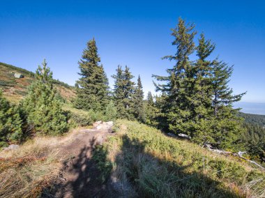 Bulgaristan 'ın Vitosha Dağı' nın şaşırtıcı sonbahar manzarası