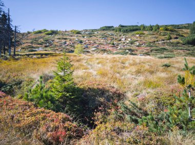Bulgaristan 'ın Vitosha Dağı' nın şaşırtıcı sonbahar manzarası