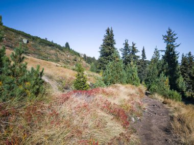 Bulgaristan 'ın Vitosha Dağı' nın şaşırtıcı sonbahar manzarası