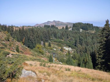 Bulgaristan 'ın Vitosha Dağı' nın şaşırtıcı sonbahar manzarası
