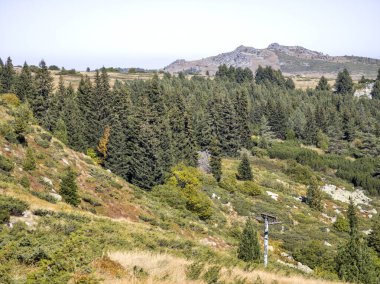 Bulgaristan 'ın Vitosha Dağı' nın şaşırtıcı sonbahar manzarası