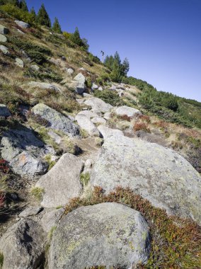 Bulgaristan 'ın Vitosha Dağı' nın şaşırtıcı sonbahar manzarası