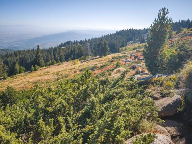 Bulgaristan 'ın Vitosha Dağı' nın şaşırtıcı sonbahar manzarası