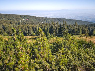 Bulgaristan 'ın Vitosha Dağı' nın şaşırtıcı sonbahar manzarası
