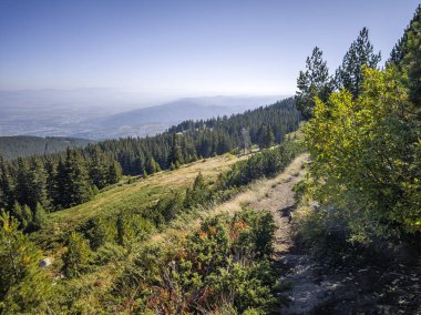 Bulgaristan 'ın Vitosha Dağı' nın şaşırtıcı sonbahar manzarası