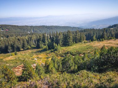 Bulgaristan 'ın Vitosha Dağı' nın şaşırtıcı sonbahar manzarası