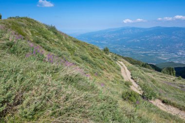 Bulgaristan 'ın Blagoevgrad bölgesinin Kongur tepesi çevresindeki Belasitsa Dağı yaz manzarası