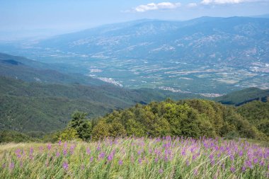 Bulgaristan 'ın Blagoevgrad bölgesinin Kongur tepesi çevresindeki Belasitsa Dağı yaz manzarası