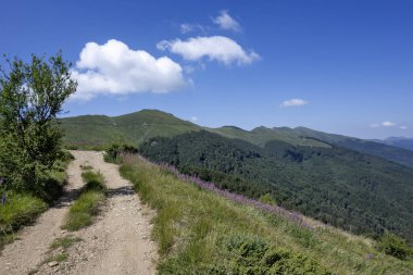 Summer view of Belasitsa Mountain around Kongur peak, Blagoevgrad Region, Bulgaria clipart