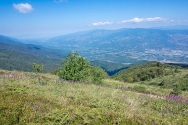 Bulgaristan 'ın Blagoevgrad bölgesinin Kongur tepesi çevresindeki Belasitsa Dağı yaz manzarası