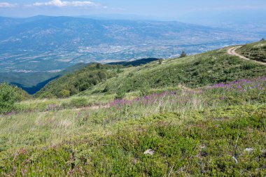 Bulgaristan 'ın Blagoevgrad bölgesinin Kongur tepesi çevresindeki Belasitsa Dağı yaz manzarası