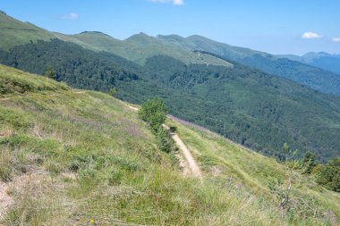 Bulgaristan 'ın Blagoevgrad bölgesinin Kongur tepesi çevresindeki Belasitsa Dağı yaz manzarası