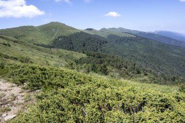 Bulgaristan 'ın Blagoevgrad bölgesinin Kongur tepesi çevresindeki Belasitsa Dağı yaz manzarası