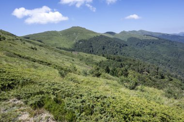 Bulgaristan 'ın Blagoevgrad bölgesinin Kongur tepesi çevresindeki Belasitsa Dağı yaz manzarası