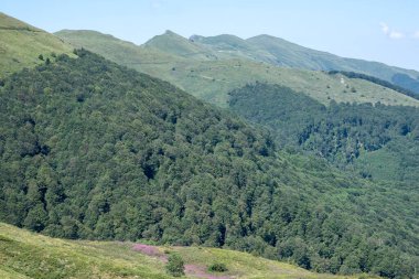 Bulgaristan 'ın Blagoevgrad bölgesinin Kongur tepesi çevresindeki Belasitsa Dağı yaz manzarası