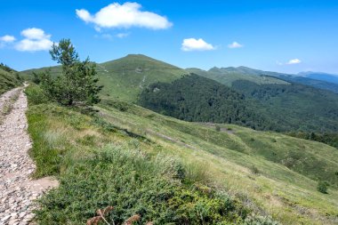 Bulgaristan 'ın Blagoevgrad bölgesinin Kongur tepesi çevresindeki Belasitsa Dağı yaz manzarası