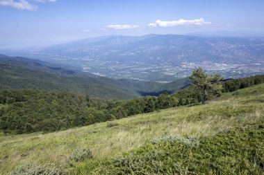 Bulgaristan 'ın Blagoevgrad bölgesinin Kongur tepesi çevresindeki Belasitsa Dağı yaz manzarası