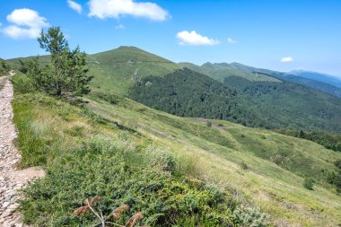 Bulgaristan 'ın Blagoevgrad bölgesinin Kongur tepesi çevresindeki Belasitsa Dağı yaz manzarası