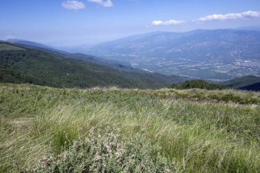 Bulgaristan 'ın Blagoevgrad bölgesinin Kongur tepesi çevresindeki Belasitsa Dağı yaz manzarası