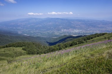 Bulgaristan 'ın Blagoevgrad bölgesinin Kongur tepesi çevresindeki Belasitsa Dağı yaz manzarası