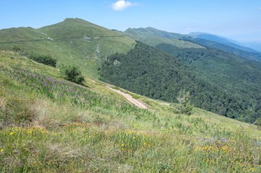 Bulgaristan 'ın Blagoevgrad bölgesinin Kongur tepesi çevresindeki Belasitsa Dağı yaz manzarası