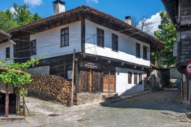 ELENA, BULGARIA - 09 Temmuz 2023: Bulgaristan 'ın tarihi Elena kenti, Veliko Tarnovo Bölgesi Panoraması
