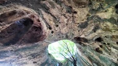 Bulgaristan 'ın Vratsa bölgesindeki Botunya köyü yakınlarındaki ağaçla mağaranın inanılmaz manzarası