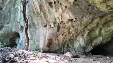 Bulgaristan 'ın Vratsa bölgesindeki Botunya köyü yakınlarındaki ağaçla mağaranın inanılmaz manzarası