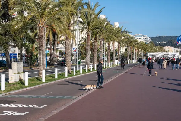 GÜZEL, FRANCE - 25 Ocak 2024: Nice, Provence Alpes-Cote d 'Azur, Francev' in sahil caddesinin gün batımı panoramik manzarası