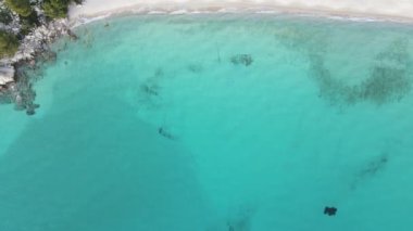 Koviou Sahili yakınlarındaki Sithonia kıyı şeridi, Chalkidiki, Orta Makedonya, Yunanistan