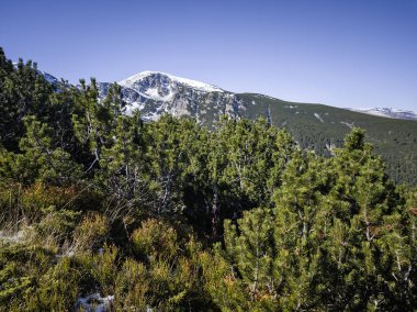 Amazing Autumn landscape of Rila Mountain near Mechit and Popova Kapa peaks, Bulgaria clipart