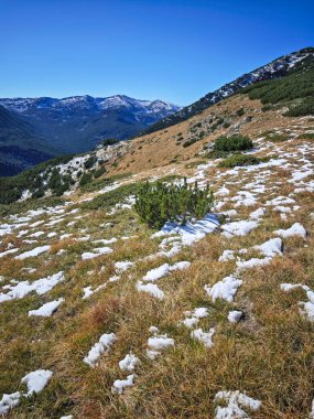 Rila Dağı 'nın Mechit yakınlarındaki muhteşem sonbahar manzarası ve Popova Kapa zirveleri, Bulgaristan