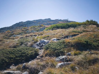 Bulgaristan 'ın Cherni Vrah zirvesi yakınlarındaki Vitosha Dağı' nın şaşırtıcı sonbahar manzarası