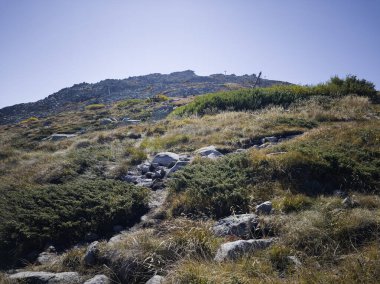 Amazing Autumn panorama of Vitosha Mountain near Cherni Vrah peak, Bulgaria clipart