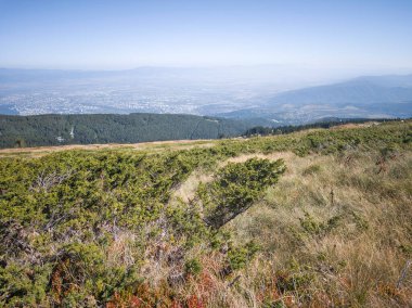 Bulgaristan 'ın Cherni Vrah zirvesi yakınlarındaki Vitosha Dağı' nın şaşırtıcı sonbahar manzarası