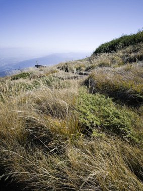 Bulgaristan 'ın Cherni Vrah zirvesi yakınlarındaki Vitosha Dağı' nın şaşırtıcı sonbahar manzarası