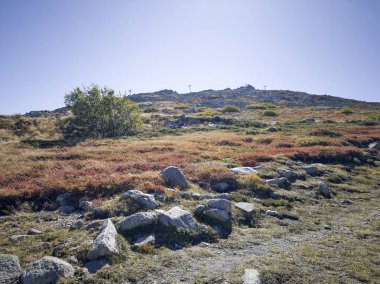 Bulgaristan 'ın Cherni Vrah zirvesi yakınlarındaki Vitosha Dağı' nın şaşırtıcı sonbahar manzarası