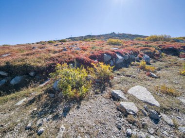 Bulgaristan 'ın Cherni Vrah zirvesi yakınlarındaki Vitosha Dağı' nın şaşırtıcı sonbahar manzarası