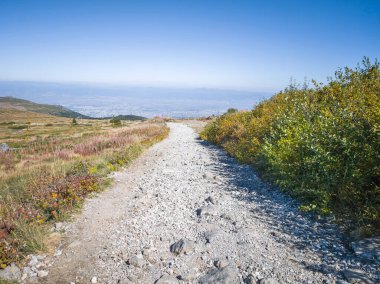 Bulgaristan 'ın Cherni Vrah zirvesi yakınlarındaki Vitosha Dağı' nın şaşırtıcı sonbahar manzarası