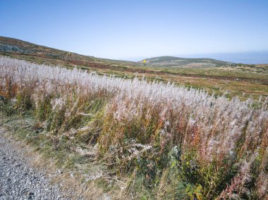 Bulgaristan 'ın Cherni Vrah zirvesi yakınlarındaki Vitosha Dağı' nın şaşırtıcı sonbahar manzarası