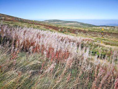 Bulgaristan 'ın Cherni Vrah zirvesi yakınlarındaki Vitosha Dağı' nın şaşırtıcı sonbahar manzarası