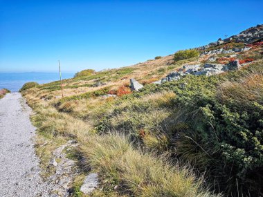 Bulgaristan 'ın Cherni Vrah zirvesi yakınlarındaki Vitosha Dağı' nın şaşırtıcı sonbahar manzarası