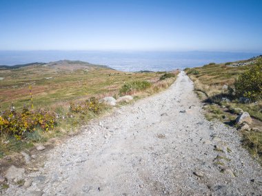Bulgaristan 'ın Cherni Vrah zirvesi yakınlarındaki Vitosha Dağı' nın şaşırtıcı sonbahar manzarası