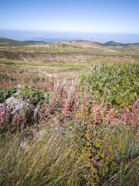 Bulgaristan 'ın Cherni Vrah zirvesi yakınlarındaki Vitosha Dağı' nın şaşırtıcı sonbahar manzarası