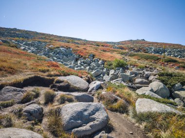 Bulgaristan 'ın Cherni Vrah zirvesi yakınlarındaki Vitosha Dağı' nın şaşırtıcı sonbahar manzarası