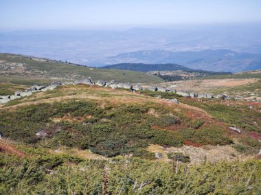 Bulgaristan 'ın Cherni Vrah zirvesi yakınlarındaki Vitosha Dağı' nın şaşırtıcı sonbahar manzarası